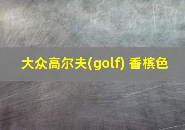 大众高尔夫(golf) 香槟色